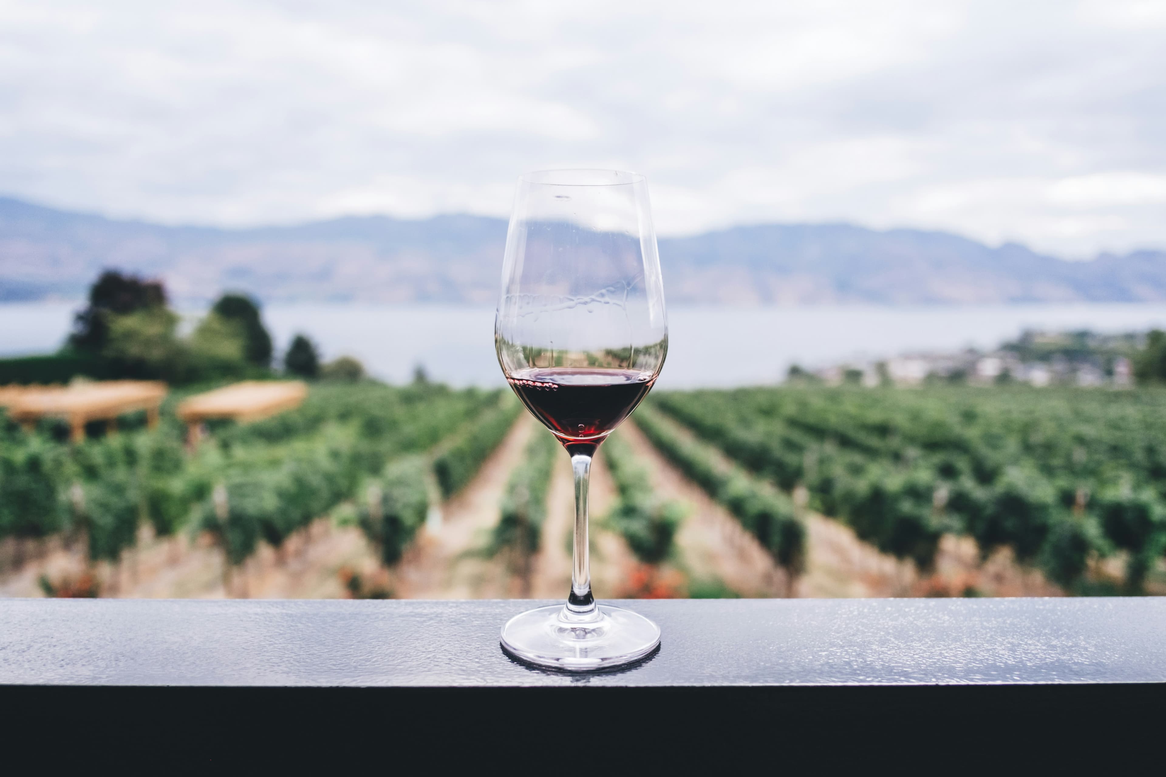 Bodega Cumbres de Abona